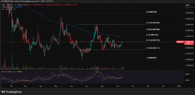 Die zu beobachtenden Kursniveaus für SHIB | Quelle: TradingView