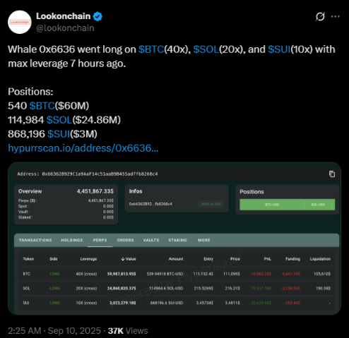 Wale bewegen sich immer noch aggressiv in ihren Positionen | Quelle: X