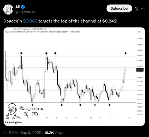 Könnte der Dogecoin noch mehr Aufwärtspotenzial haben? | Quelle: X 